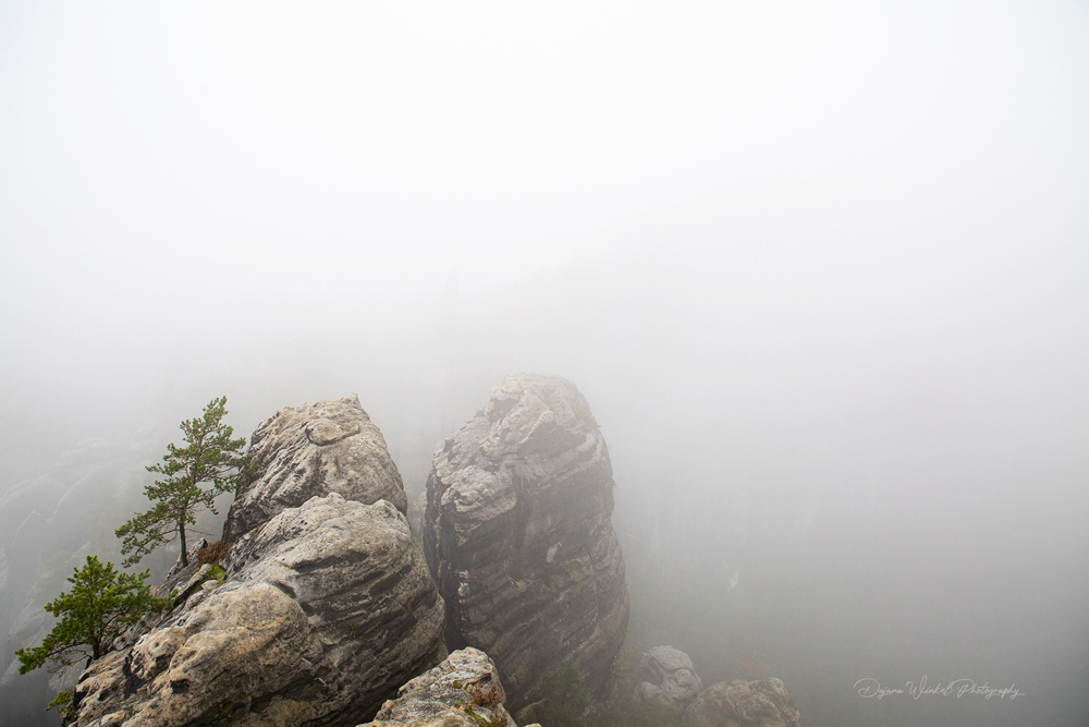 View from the (foggy) Schrammsteine